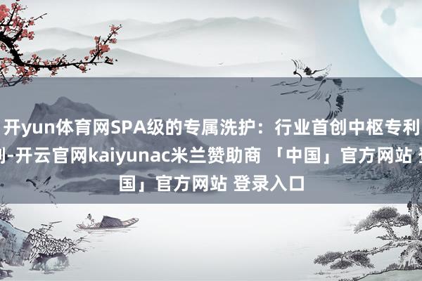 开yun体育网SPA级的专属洗护：行业首创中枢专利喷枪时刻-开云官网kaiyunac米兰赞助商 「中国」官方网站 登录入口