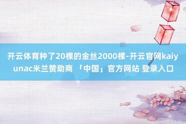 开云体育种了20棵的金丝2000棵-开云官网kaiyunac米兰赞助商 「中国」官方网站 登录入口