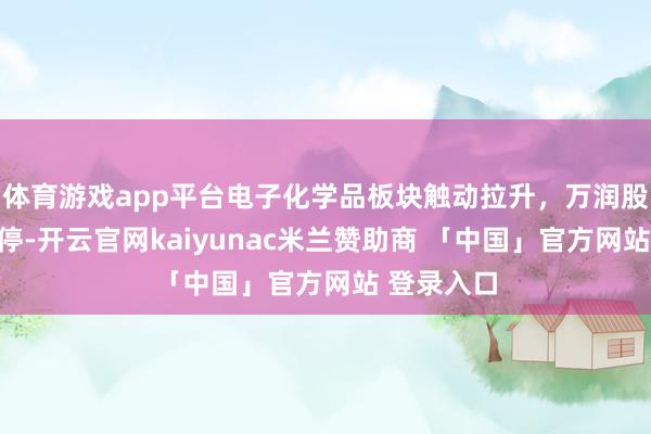 体育游戏app平台电子化学品板块触动拉升，万润股份涉及涨停-开云官网kaiyunac米兰赞助商 「中国」官方网站 登录入口