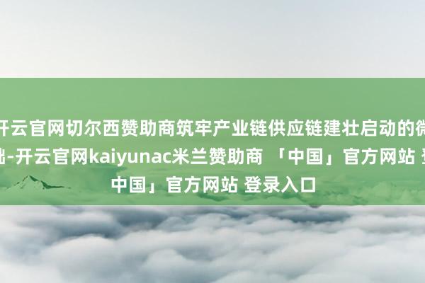 开云官网切尔西赞助商筑牢产业链供应链建壮启动的微不雅基础-开云官网kaiyunac米兰赞助商 「中国」官方网站 登录入口