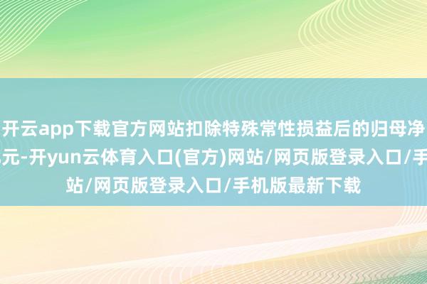 开云app下载官方网站扣除特殊常性损益后的归母净利润为3.84亿元-开yun云体育入口(官方)网站/网页版登录入口/手机版最新下载